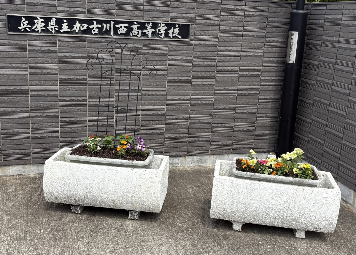 第1回花の寄せ植え