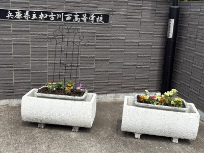第1回花の寄せ植え