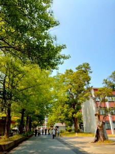 IMG_3408