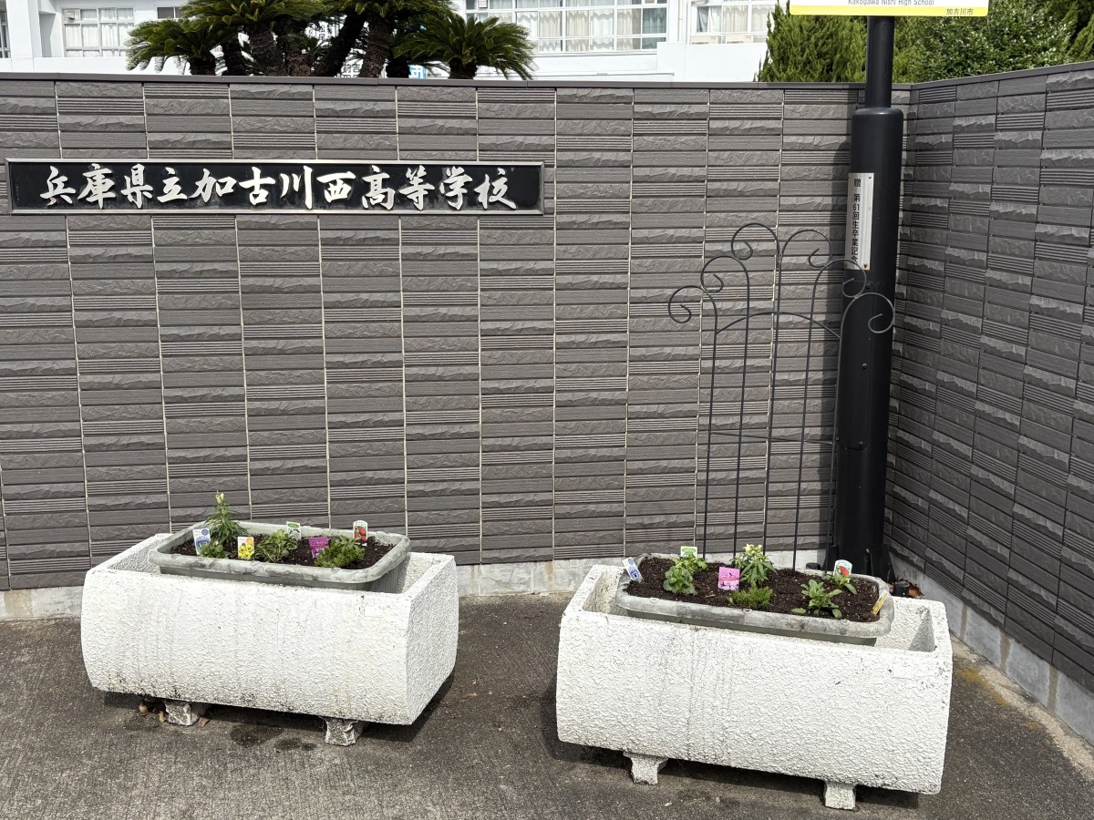 第2回花の寄せ植え・来年度役員引継ぎ