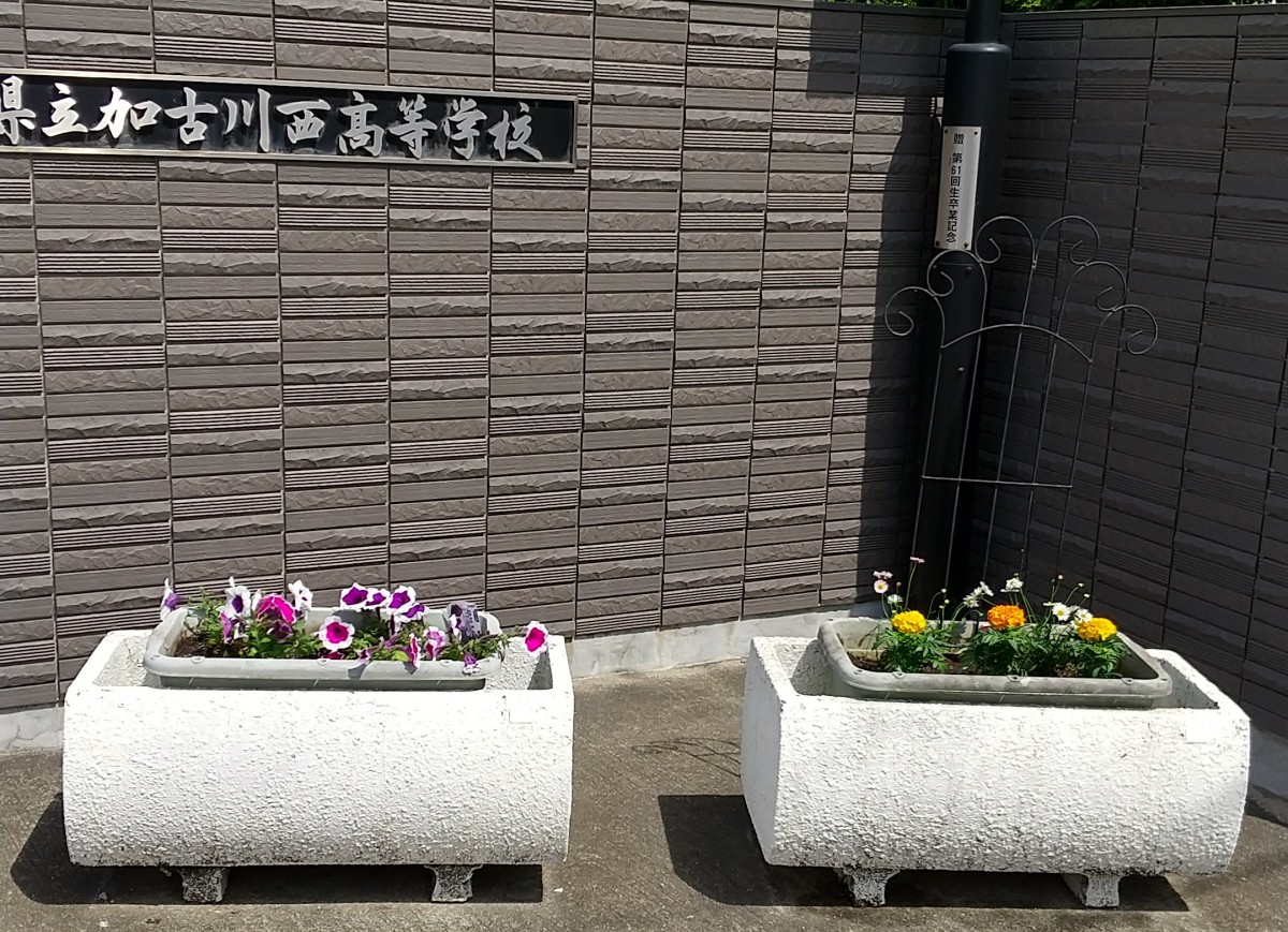 第1回花の寄せ植え