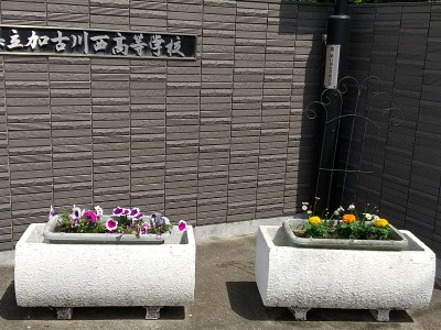 第1回花の寄せ植え