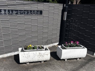 第2回花の寄せ植え・来年度役員引継ぎ